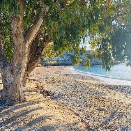 Allonbay & Nature Apartment, 1st Line Playa El Torres Apartment